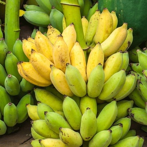 涠洲岛特产海鸭蛋