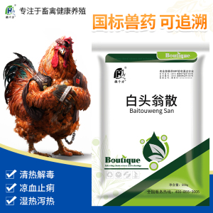 白头翁散鸡鸭鹅