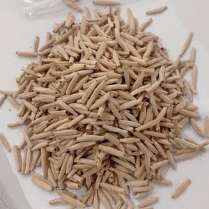 100粒42进口沙漠玫瑰种子混合盆栽种子玫瑰花种子成活率高