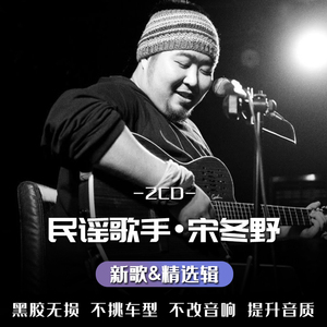 宋冬野专辑