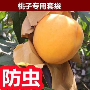 黄桃套袋桃子水蜜桃防水专用袋子水果网套防虫保护袋防鸟神器果袋