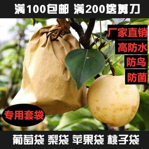 梨袋套黄桃套袋专用包果子的袋子套苹果梨桃子防鸟防蚊虫防水保护