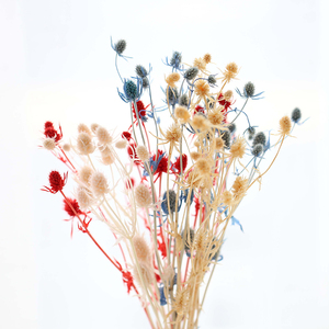 蔓玥 永生情人果干花带枝约10cm长 diy手工香薰蜡烛永生花点缀