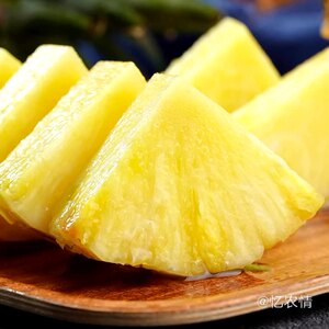 湛江徐闻菠萝香水菠萝非金钻凤梨黄金凤梨手撕小菠萝大果农产品