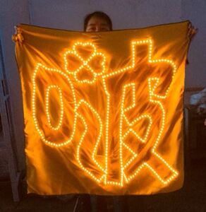 林彦俊新型横幅荧光板吴宣仪生日快乐款胸牌灯牌手举张艺兴橙色