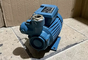 意大利calpeda科沛达ctm61水泵单相水泵增压泵