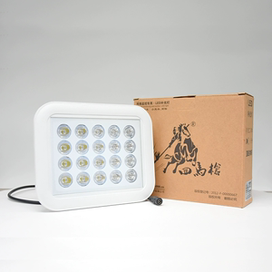 小耳朵监控补光灯LED光感自动感应灯12V220V白光补光灯室外照明