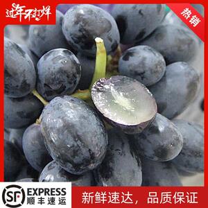 美国黑加仑黑提4斤新鲜提子美人指葡萄当季孕妇小孩水果顺丰