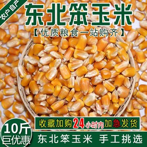 东北玉米100斤粒喂鸡鸭鹅兔子鸽子钓鱼打窝饲料干苞米新粮