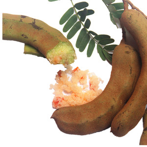 海南儋州生酸梅 酸豆酸角三亚酸鱼汤原料 罗望子 满3斤包邮