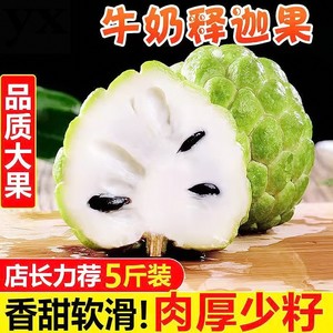 林檎 释迦果 潮汕特产樟林林琴果番荔枝新鲜水果农家现摘发货