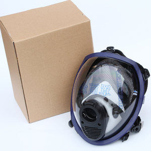 正压式空气呼吸器配件面罩大视野全硅胶救援面具配件五点收紧2024