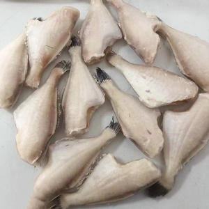 新鲜冷冻中号耗儿鱼3斤扒皮鱼马面鱼剥皮鱼带冰新鲜冷冻火锅食材