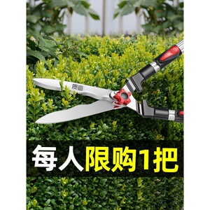 剪树枝专用剪刀进口加长花枝高枝伸缩园艺剪蔬果修枝园林修剪神器