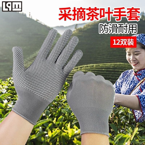 采茶摘茶叶干活用的薄手套男女工作打包分拣专用防滑露二五指尼龙