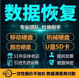 台式机械硬盘数据恢复格式化全0恢移动硬盘固态U盘sd卡笔记本硬盘