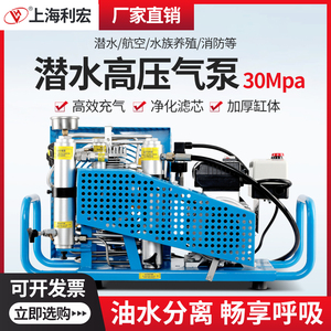 上海利宏空气呼吸器高压充气泵30mpa潜水瓶打气机20mpa消防充气泵
