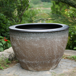 景德镇陶瓷睡莲荷花缸大水缸发财树大花盆庭院大号种树盆盆栽盆景