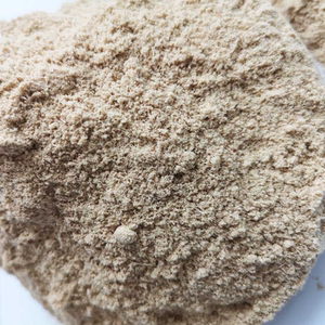 新鲜向日葵花盘