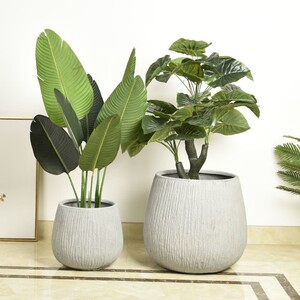 大型盆栽花盆客厅