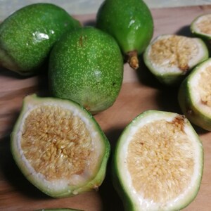 野生凉粉霹雳果鬼木馒头奶母爱玉木莲果手搓冰粉籽中药材500g包邮