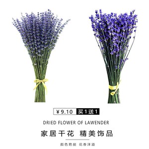 薰衣草干花花束客厅摆设花瓶插花真花卧室生日礼物永生花