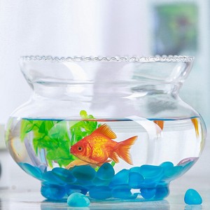 鱼缸玻璃创意圆形水培透明客厅中型办公室桌面小型金鱼迷你小鱼缸