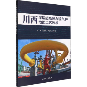 川西深层超高压含硫气井地面工艺技术 方进 等 著 石油工业出版社 化工技术 工业技术其它