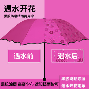 焦下遇水开花雨伞男女折叠太阳伞黑胶晴雨两用防晒防紫外线加厚遮