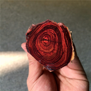 越南紫檀柳对眼料鬼脸纹x原木木料手球料珠子料手串佛珠料茶刀柄