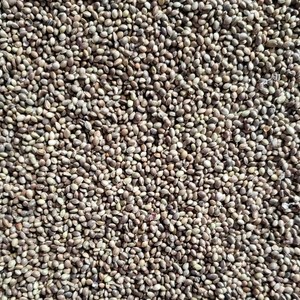 中小仁麻子火麻粒麻籽鹦鹉鸟粮鸟a食鸟饲料虎皮牡丹鹦鹉粮五斤包