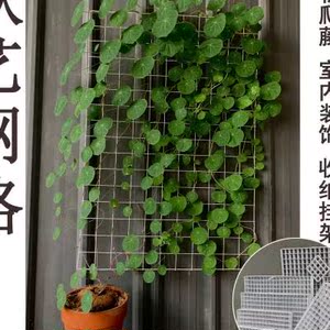 山乌龟爬藤架爬藤植物固定网藤类植物攀爬架爬行网固定器造型铁丝