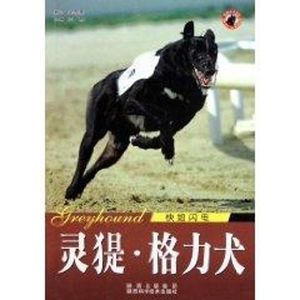 世界名犬-灵提格力犬 王晓 著作 陕西科学技术出版社 生活休闲 都市手工艺书籍