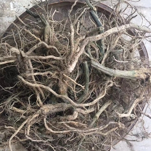 xiangnimei88淘宝中药材丝瓜根 丝瓜藤根 500克