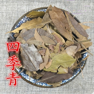 中药材 四季青 别名:红冬青 油叶树 树顶子 500克 统