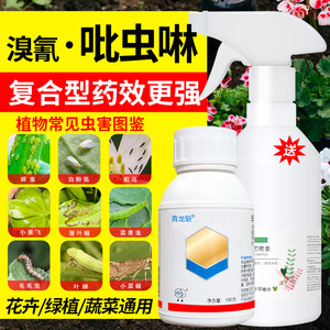 吡虫啉杀虫剂花卉植物花药呲虫啉蔬菜农药玫瑰月季腻虫蚜虫专用药