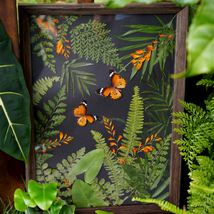 押花家居装饰摆件装饰画压花相框非遗手工艺森林自然植物蝴蝶标本