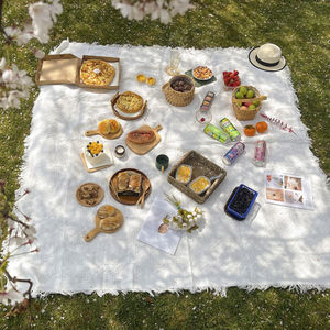 春游垫子野餐垫布白色防潮垫子加厚公园户外露营郊游草坪野炊地垫