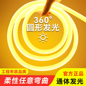 led硅胶霓虹柔性灯带灯条360度圆形户外防水广告招牌工程亮化线条