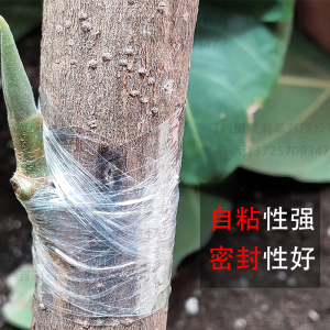 新品果树嫁接专g用膜自粘式园林缠绕薄膜3-5cm透明塑料扎 条接包