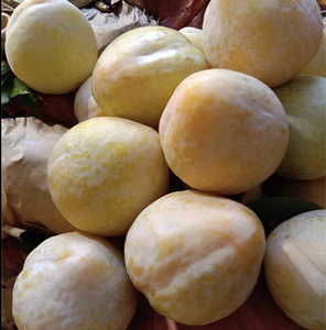 正宗炎陵奈李湖南特产新鲜水果当季黄金李子脆甜现摘