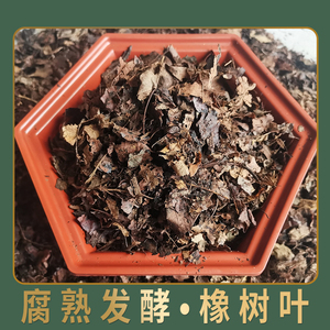 腐叶橡树叶君子兰专用疏松透气栽种植料有机营养土腐熟橡树叶通用
