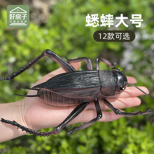 大号儿童玩具仿真动物昆虫模型摆件蟋蟀瓢虫蜘蛛蝎子虫子男孩塑胶