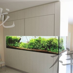 隔断式鱼缸客厅