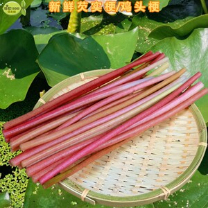湖北特产新鲜鸡头梗当季蔬菜鸡头米刺梗欠实梗3斤现摘发货芡实梗