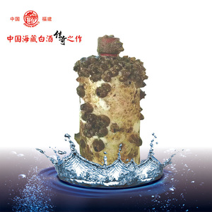 福建白酒湛仙海藏酒纯粮酱香型53度三年海底六年陆地窖藏坤沙酒