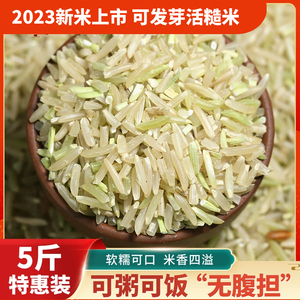 长粒香糙米2023年新米农家新鲜现磨辅食杂粮胚芽健身代餐饱腹玄米