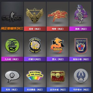 新开封指定款】csgo纯正徽章a咆哮准将黑凤凰幻彩系列三系列二整