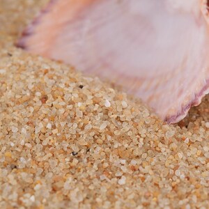 日照海沙子养甲鱼 缸底砂化妆沙 海滩超j细黄沙 草缸造景多肉培土