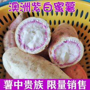 澳洲紫白蜜薯高端密薯新品种红薯粉糯香甜白心紫心番薯